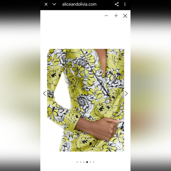 Alice & Olivia Short Set Suit - Picture 11 of 12